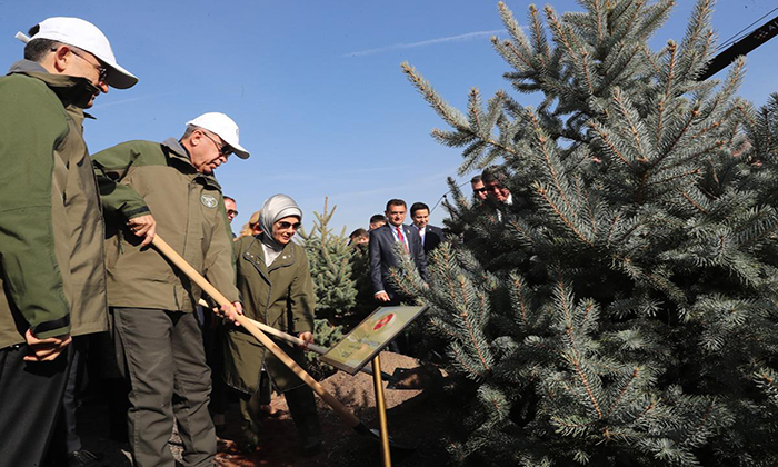 11 Milyon Fidan Toprakla Buluştu!
